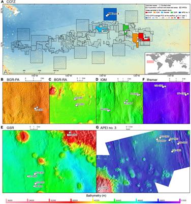 Diversity of Deep-Sea Scale-Worms (Annelida, Polynoidae) in the Clarion-Clipperton Fracture Zone